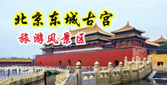 鸡巴操逼大操逼网站中国北京-东城古宫旅游风景区